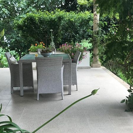 Camelias Bed & Breakfast Guimarães Eksteriør bilde