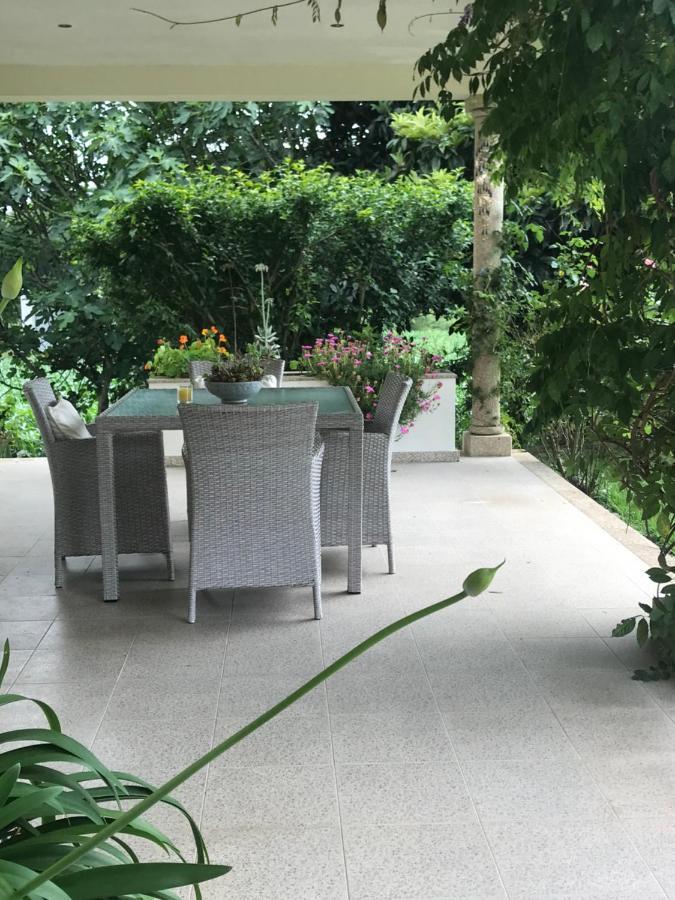 Camelias Bed & Breakfast Guimarães Eksteriør bilde